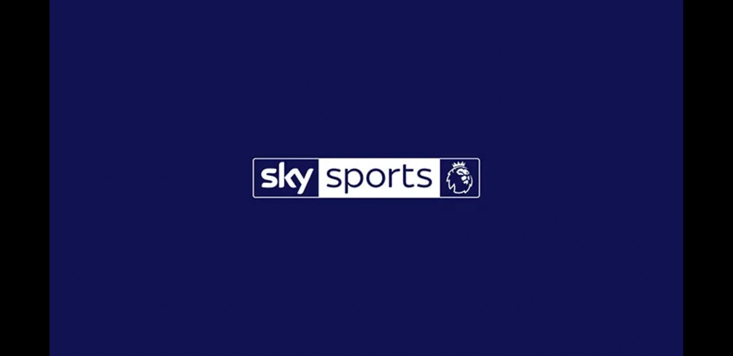 Sky Sports logo shown as a sports-category example
